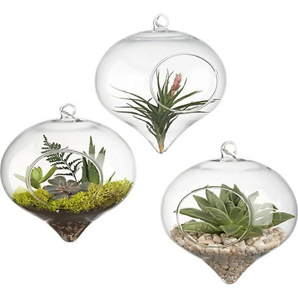 Glass Ball Hanging Planter DECORBITES