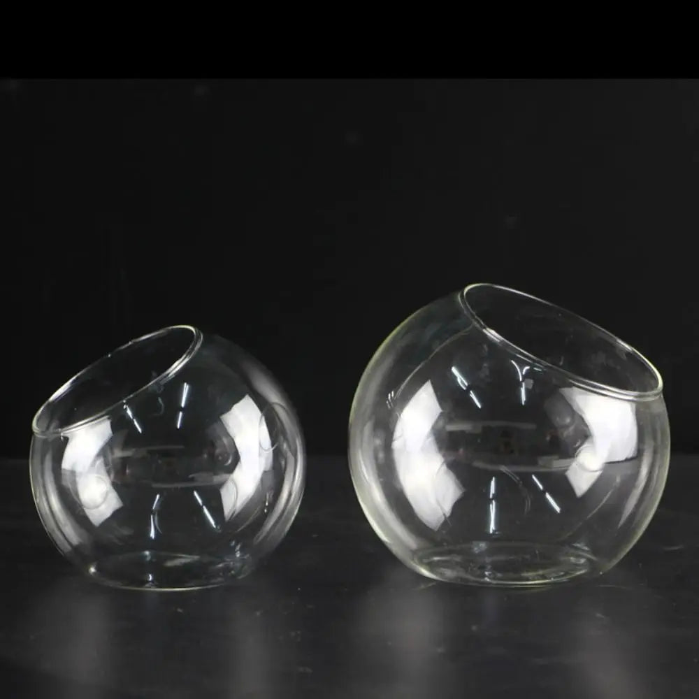 Clear Glass Ball Succulent Terrarium DECORBITES