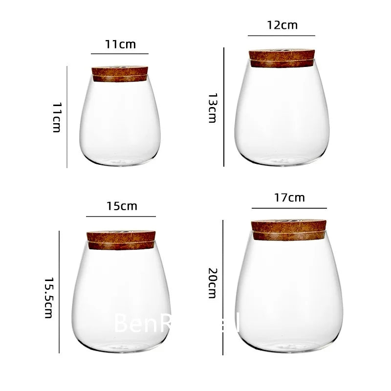 Cork Glass Terrarium Landscape Bottle DECORBITES