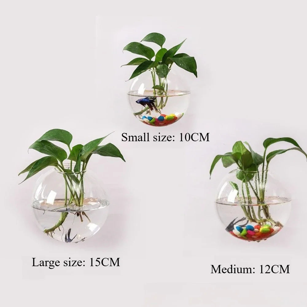 Spherical Glass Wall Hanging Vase DECORBITES