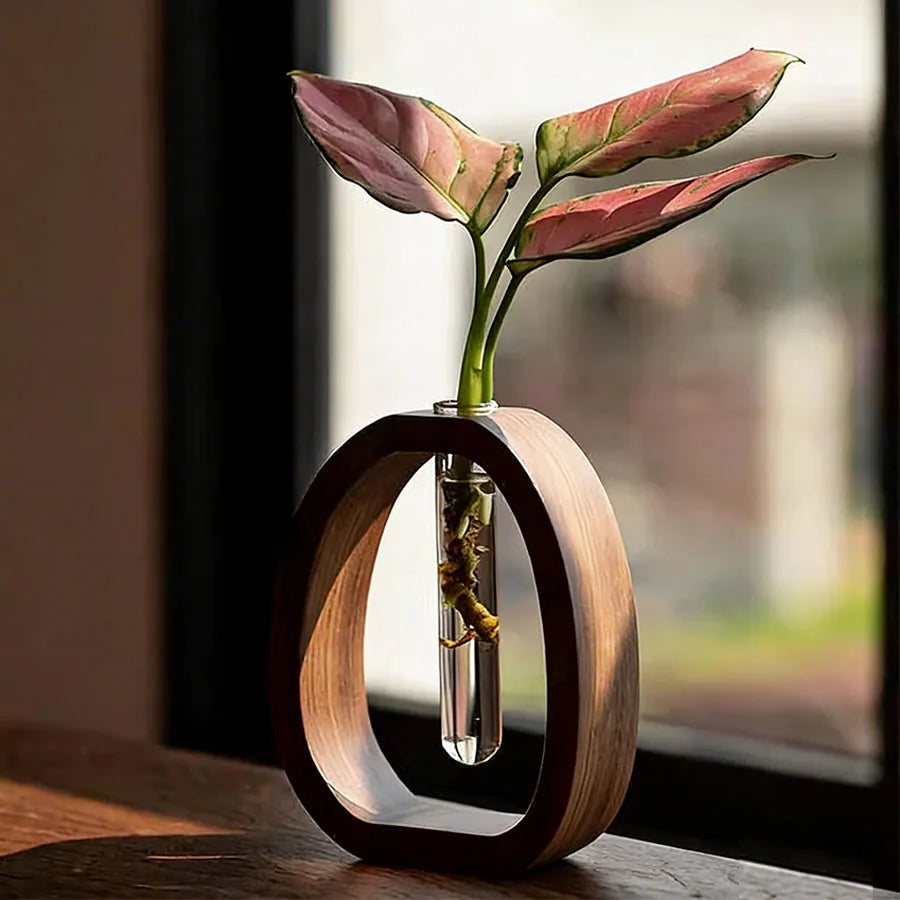 Walnut Wood Glass Hydroponic Vase DECORBITES