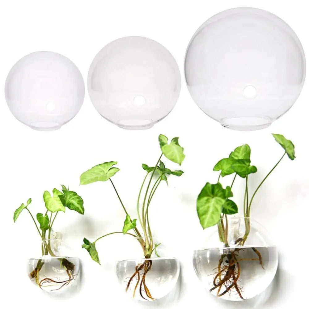 Round Glass Wall Hanging Planter DECORBITES