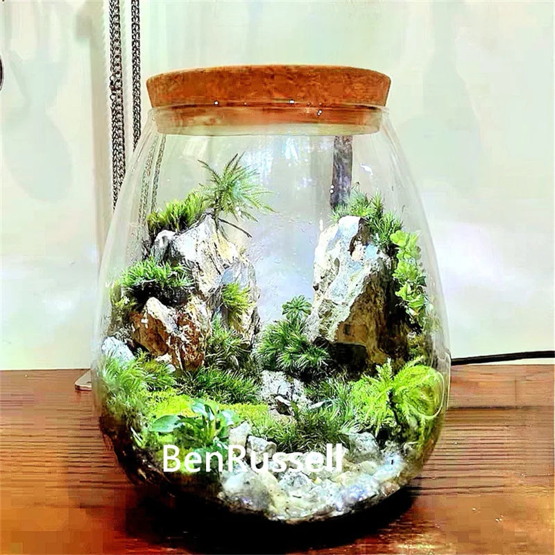 Cork Glass Terrarium Landscape Bottle DECORBITES
