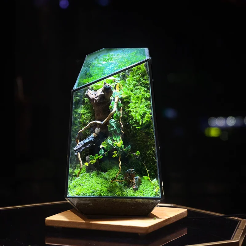 Quartz Glass Moss Terrarium Planter DECORBITES