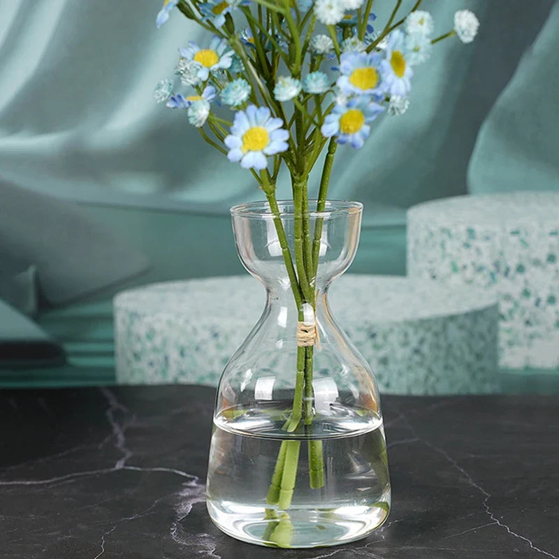 Avocado Seed Grower Glass Vase DECORBITES