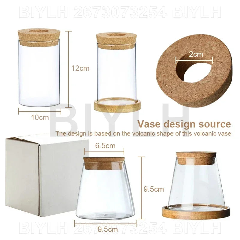 Nordic Volcanic Glass Vase Hydroponic Tabletop | Aurelia DECORBITES