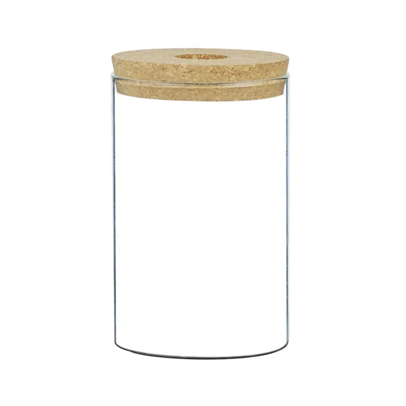 Transparent Resin Hydroponic Flower Pot DECORBITES
