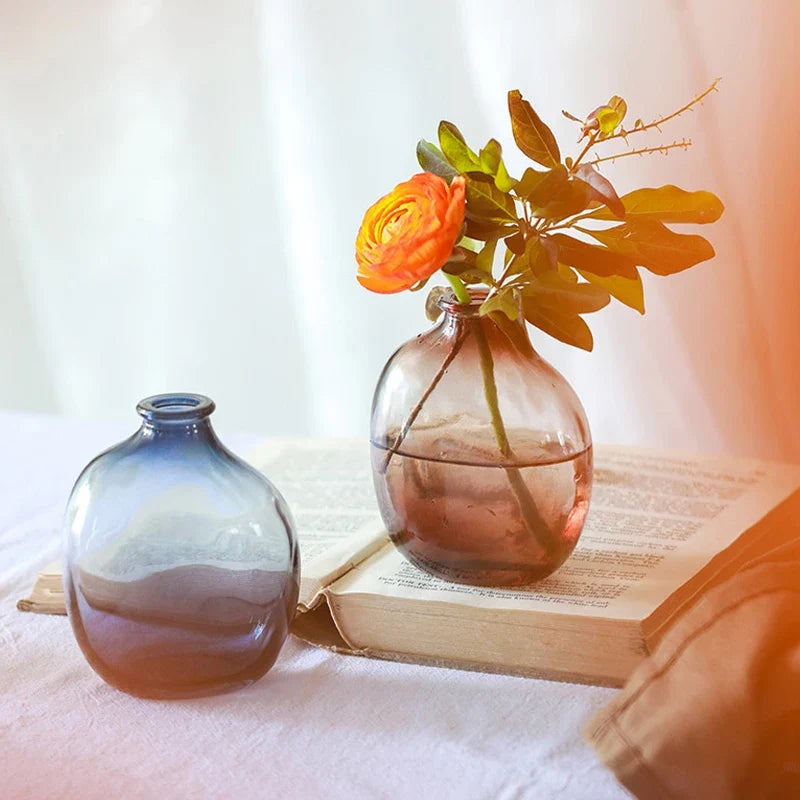Brown Retro Glass Hydroponic Vase DECORBITES