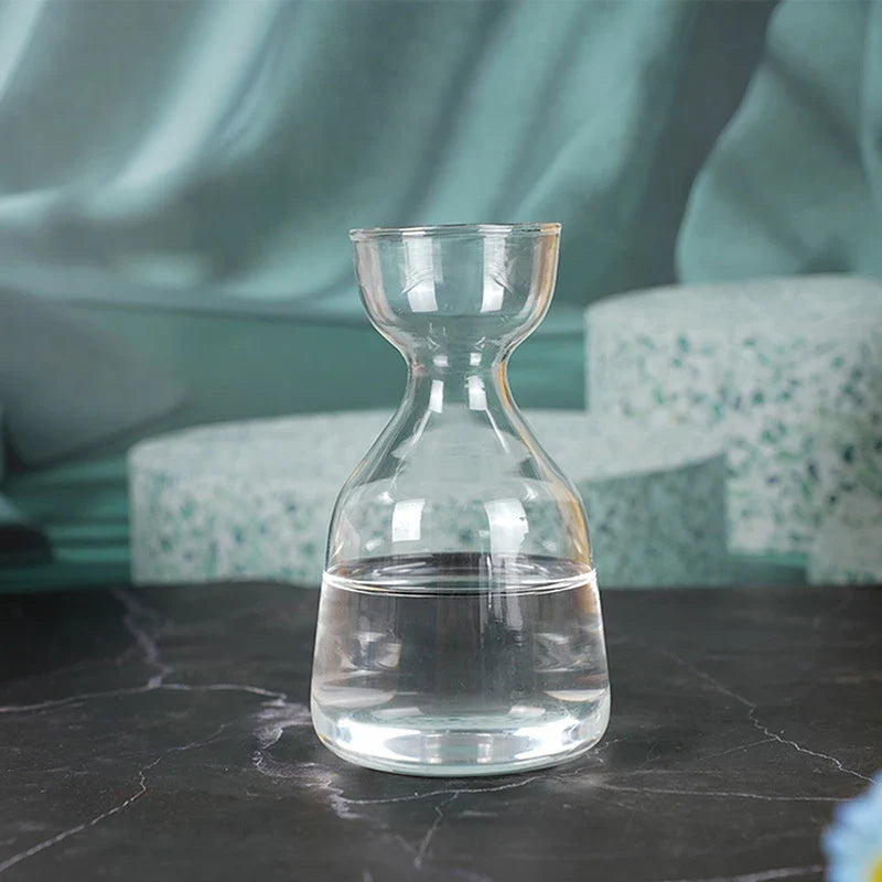 Avocado Seed Grower Glass Vase DECORBITES