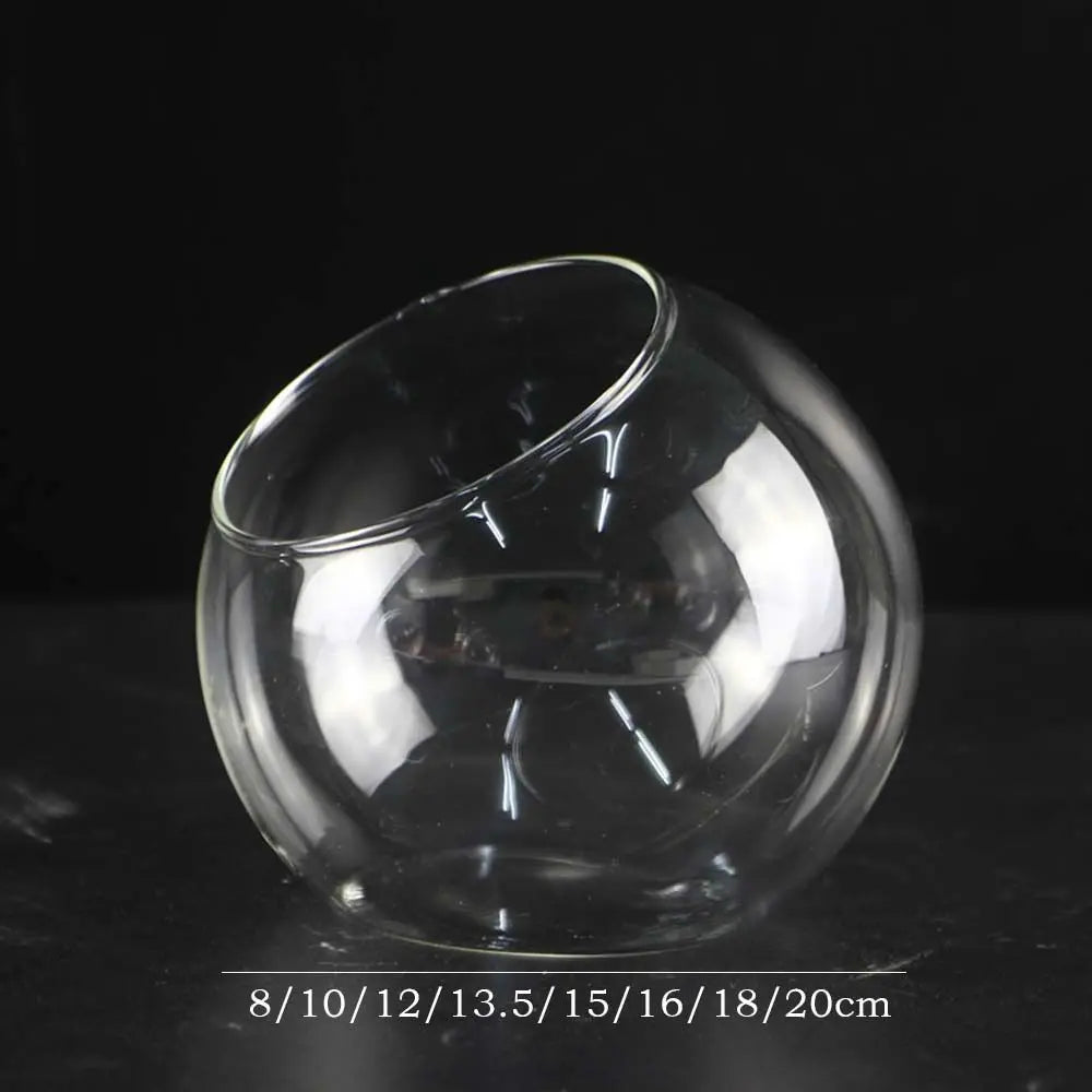 Clear Glass Ball Succulent Terrarium DECORBITES