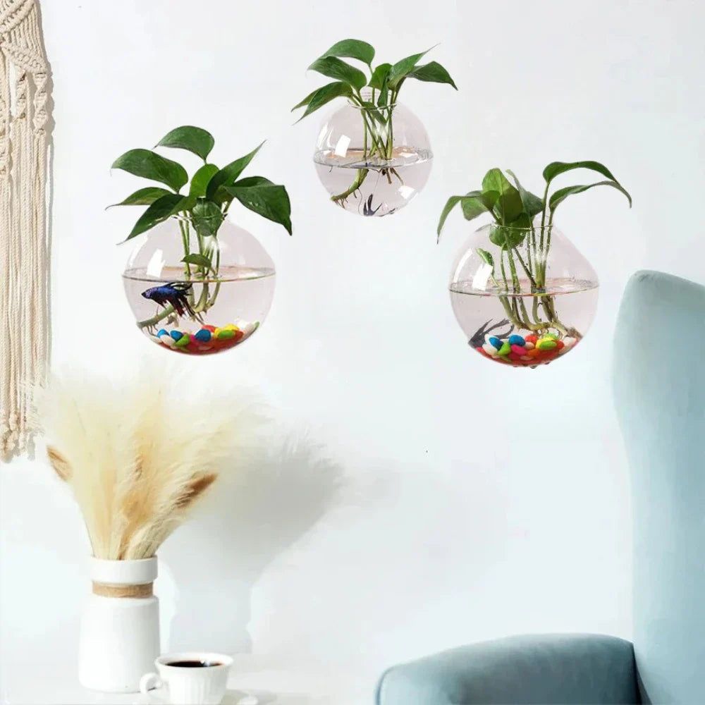 Spherical Glass Wall Hanging Vase DECORBITES