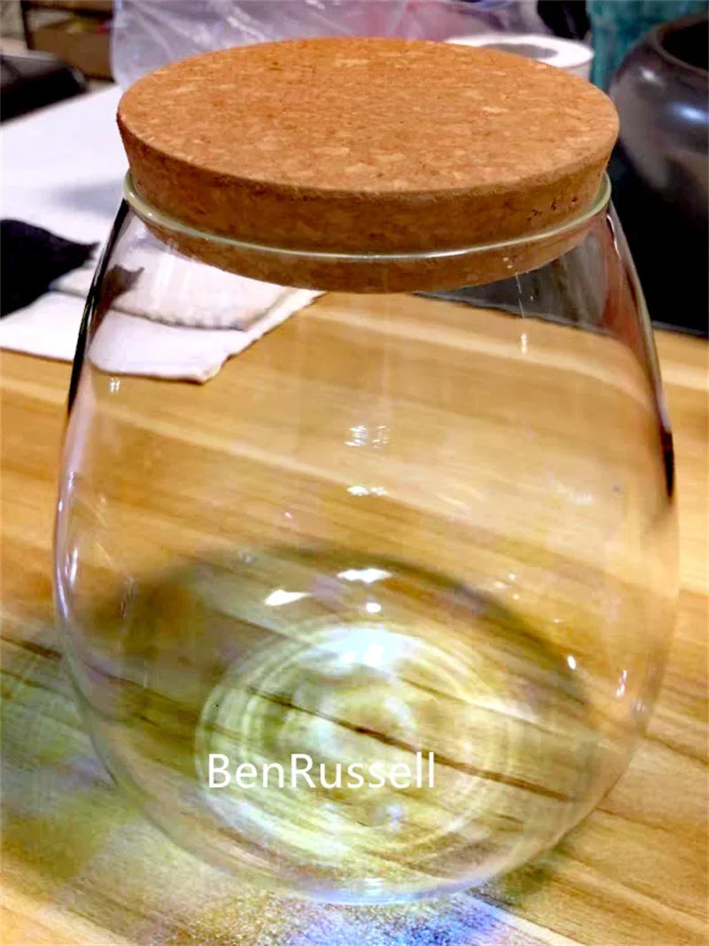 Cork Glass Terrarium Landscape Bottle DECORBITES