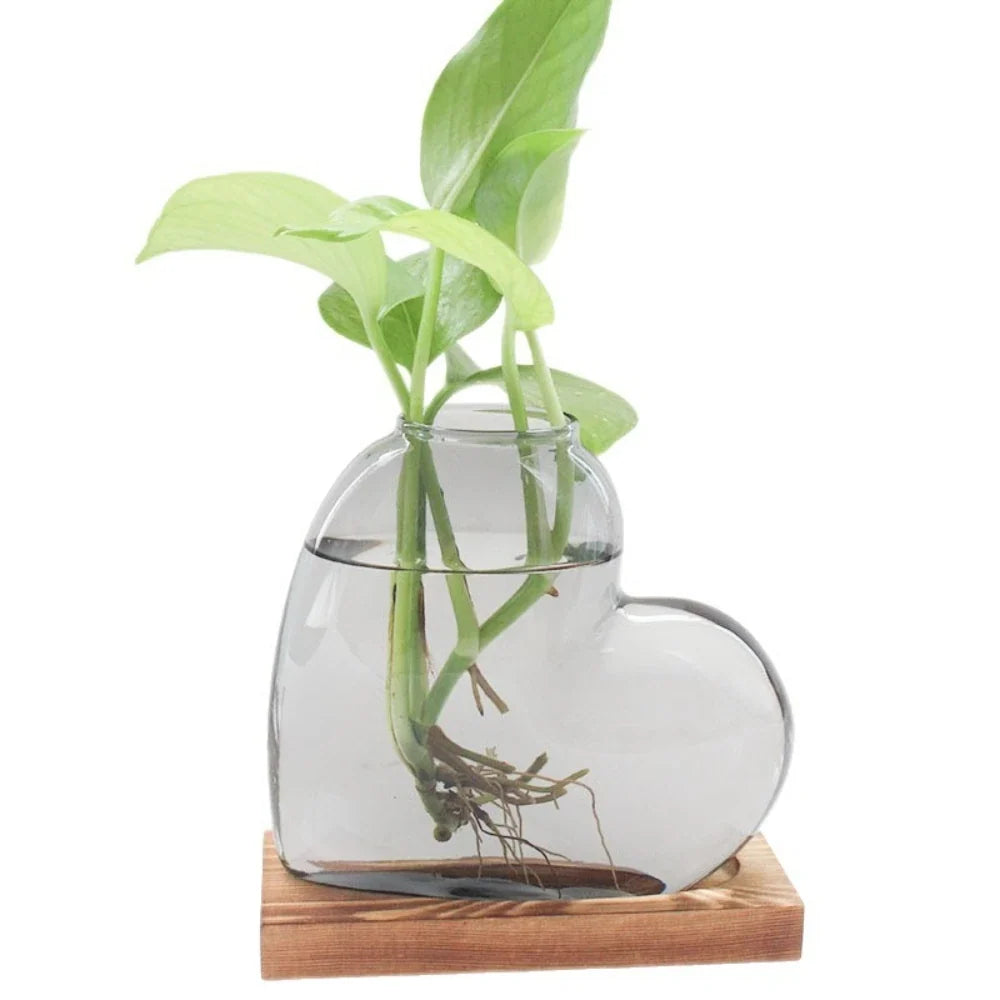 Colored Glass Heart Hydroponic Vase DECORBITES
