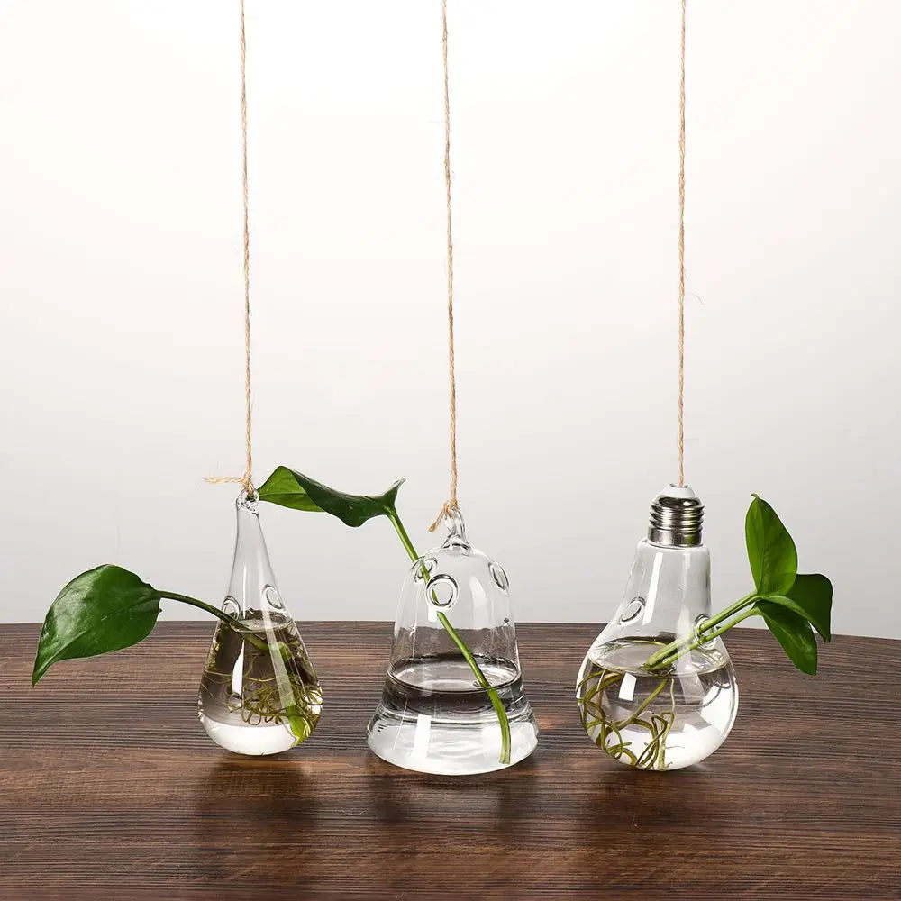 Hanging Glass Ball Hydroponic Vase DECORBITES