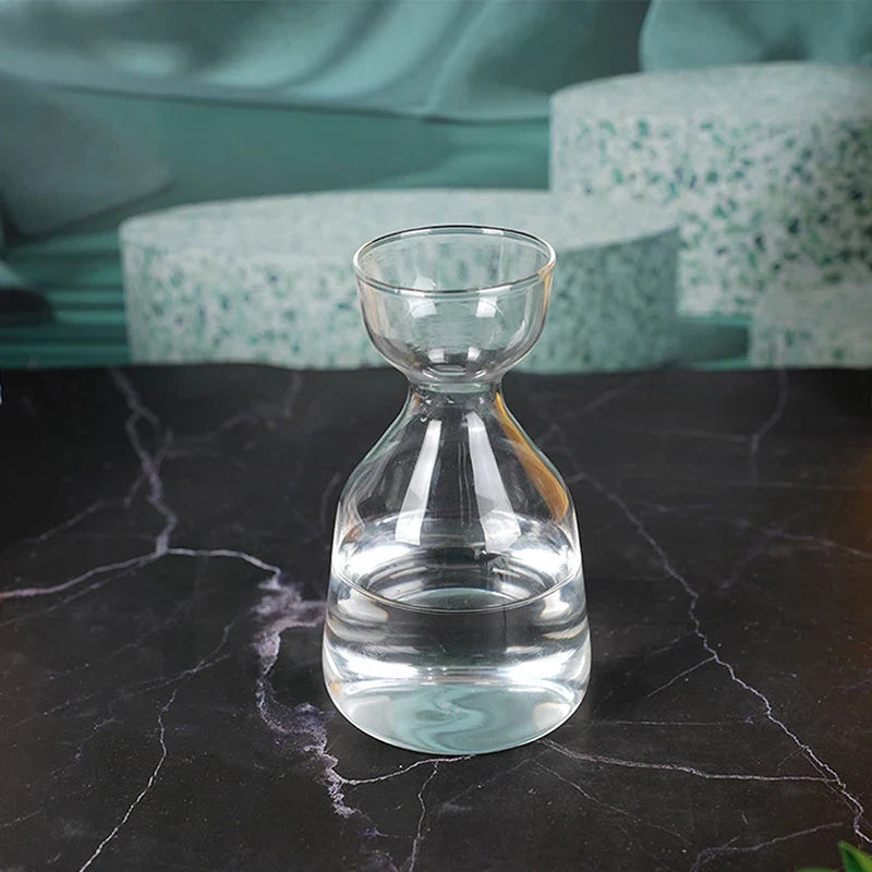 Avocado Seed Grower Glass Vase DECORBITES