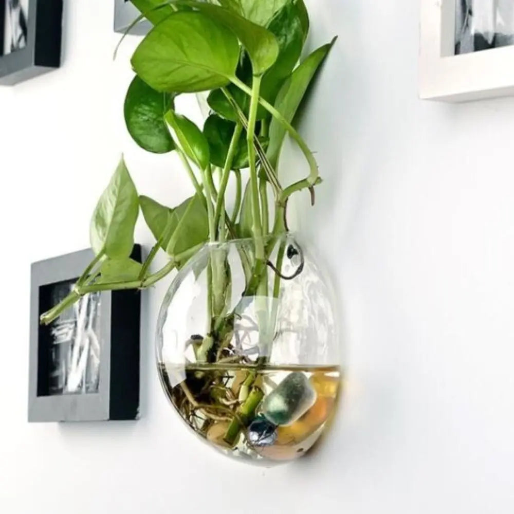 Round Glass Wall Hanging Planter DECORBITES