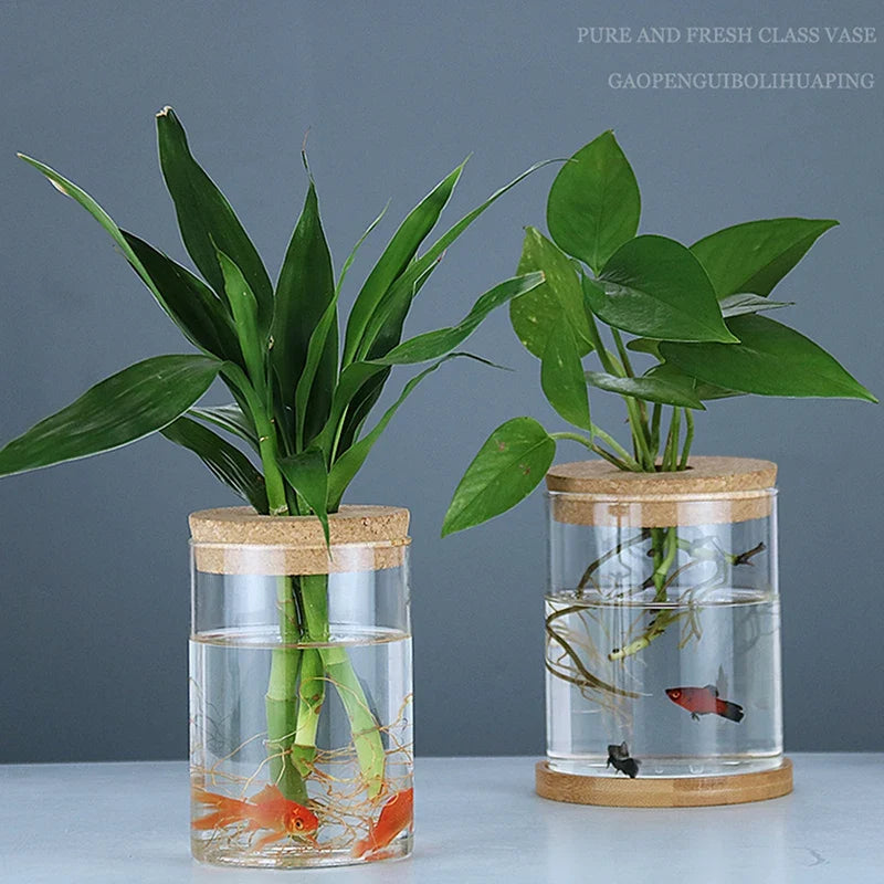 Transparent Resin Hydroponic Flower Pot DECORBITES