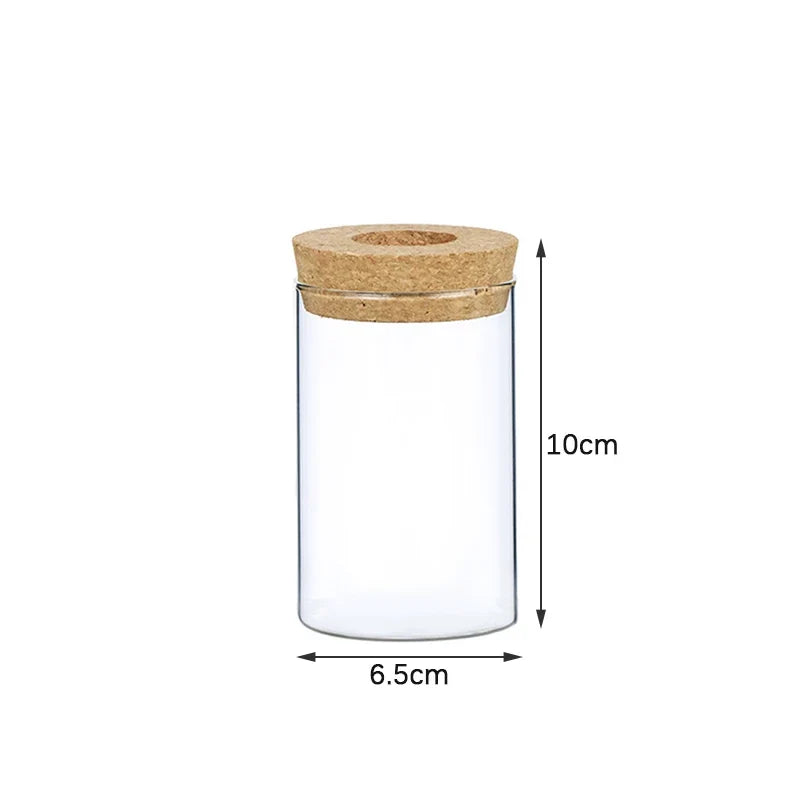 Transparent Resin Hydroponic Flower Pot DECORBITES