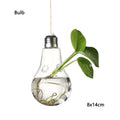 Hanging Glass Ball Hydroponic Vase DECORBITES