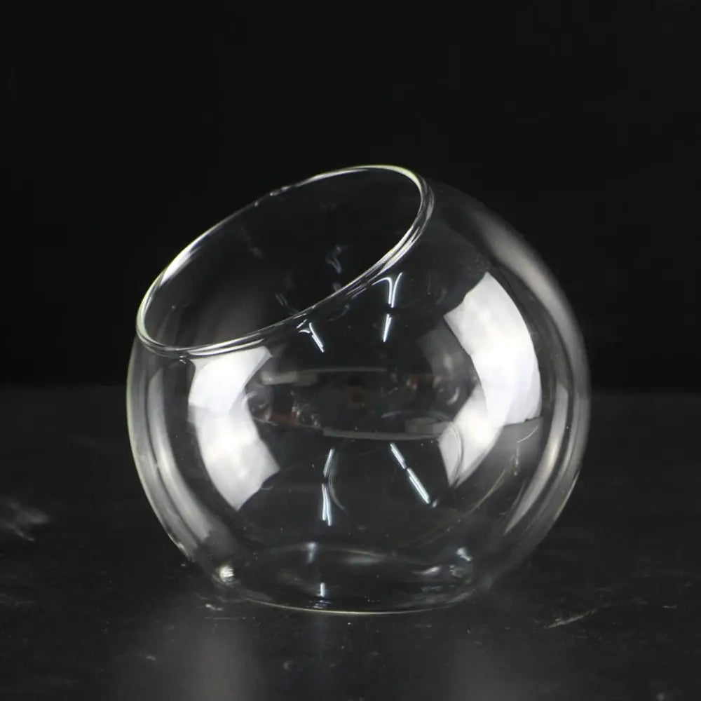 Clear Glass Ball Succulent Terrarium DECORBITES