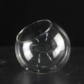 Clear Glass Ball Succulent Terrarium DECORBITES