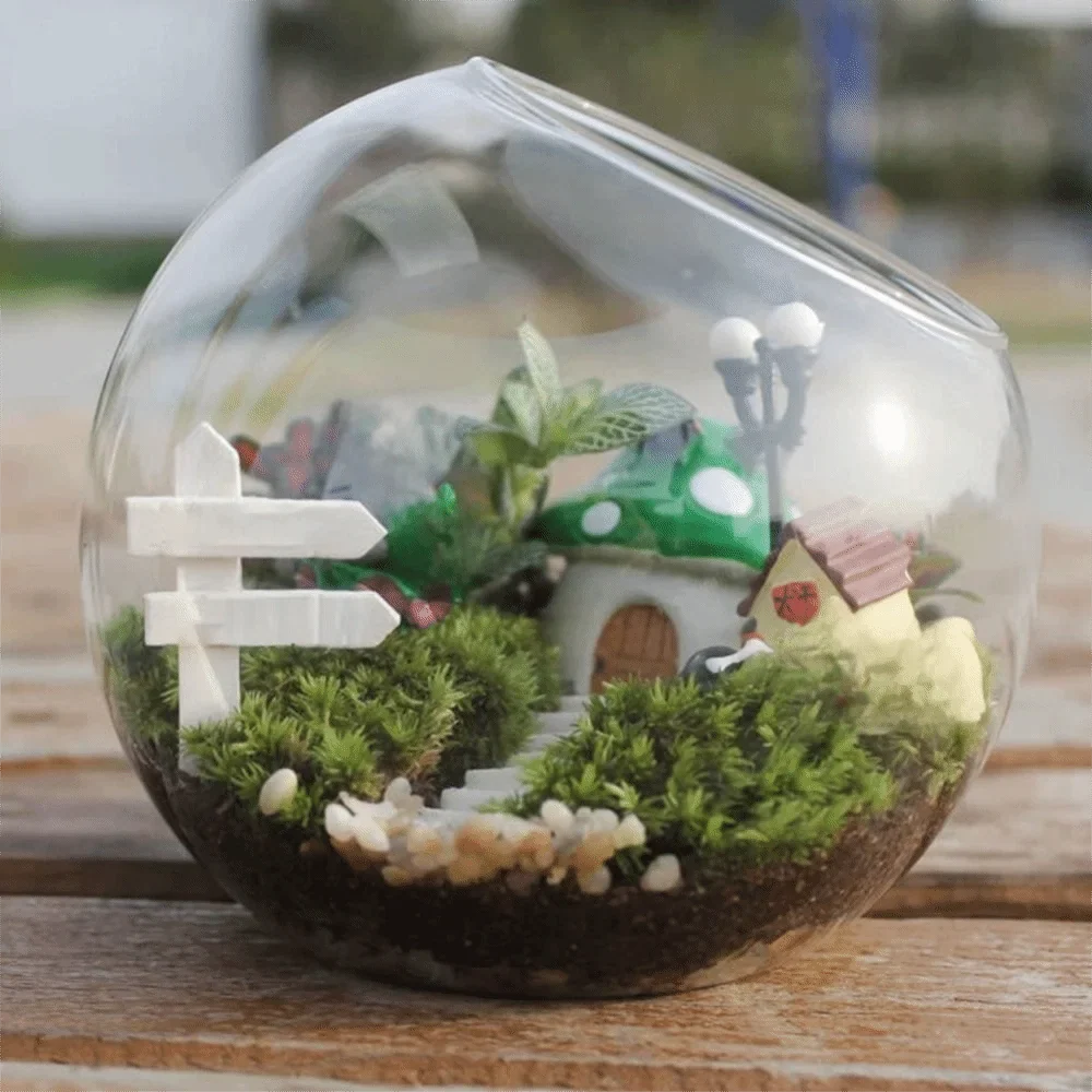 Clear Glass Ball Succulent Terrarium DECORBITES