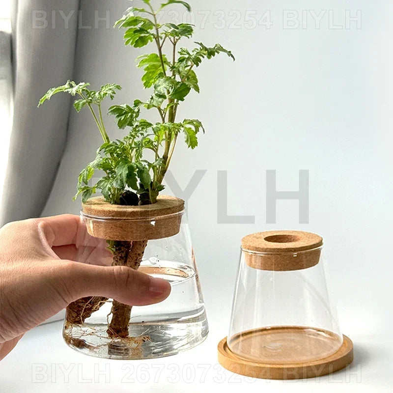 Nordic Volcanic Glass Vase Hydroponic Tabletop | Aurelia DECORBITES