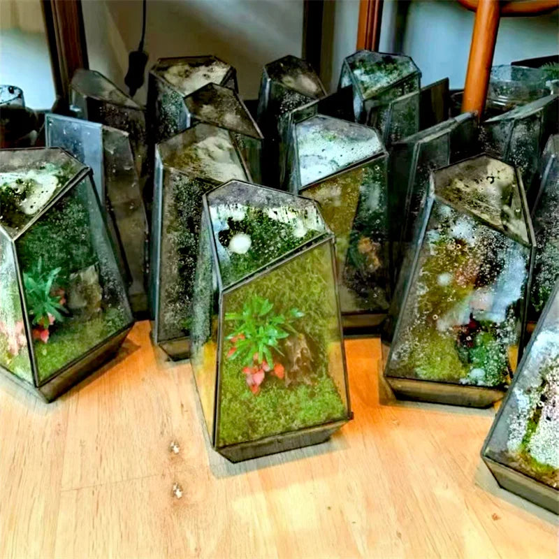 Quartz Glass Moss Terrarium Planter DECORBITES