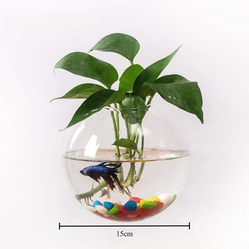 Spherical Glass Wall Hanging Vase DECORBITES