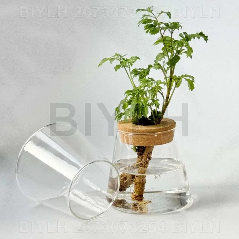 Nordic Volcanic Glass Vase Hydroponic Tabletop | Aurelia DECORBITES