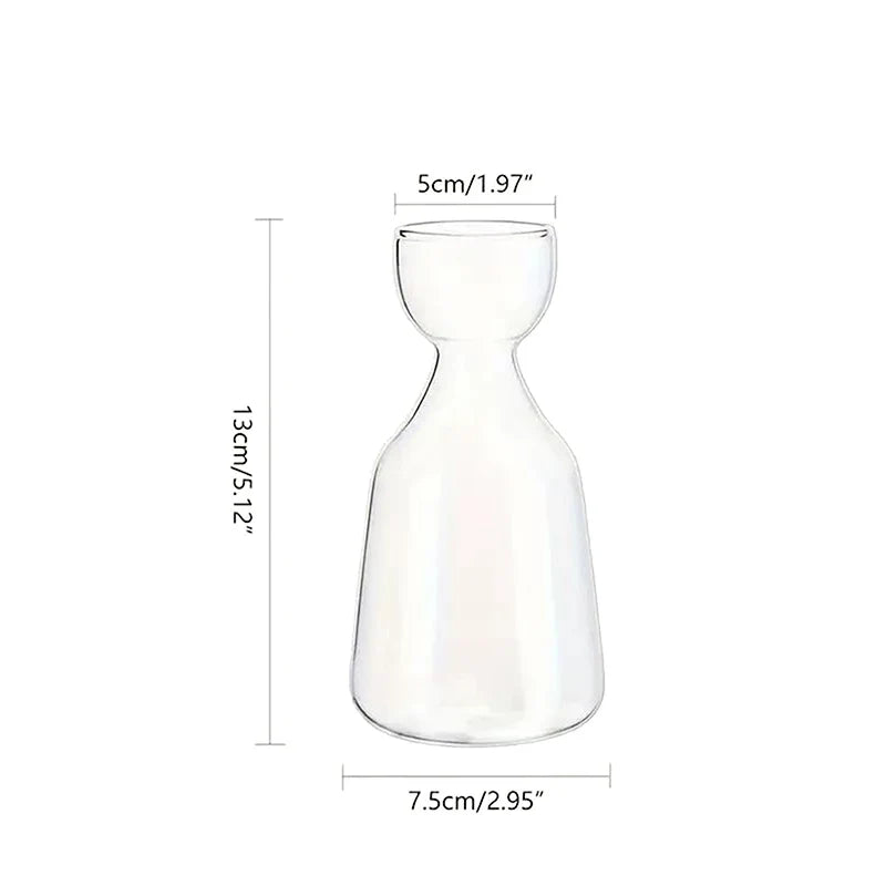 Avocado Seed Grower Glass Vase DECORBITES