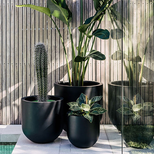 Straight Up The Balcony Garden US
