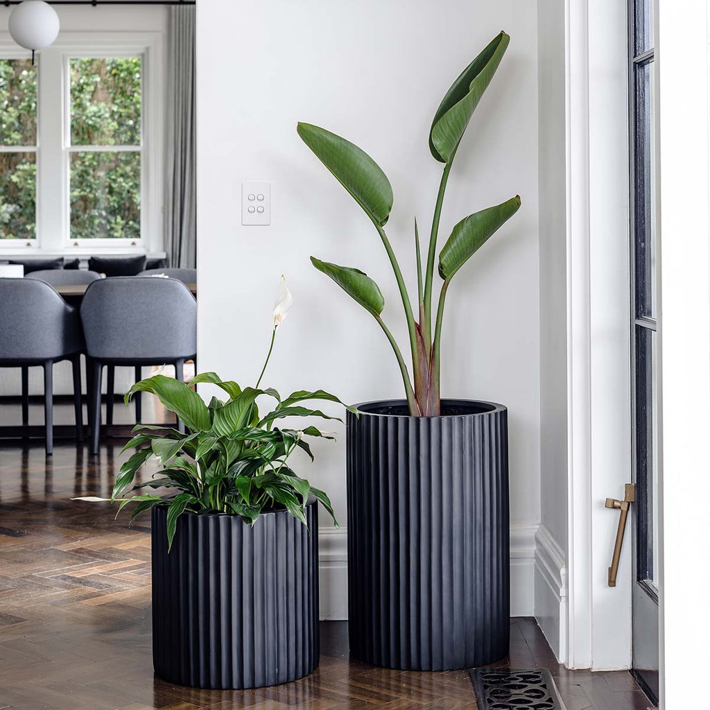 Ribbed Loob The Balcony Garden US