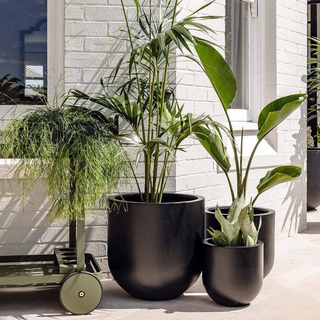 Straight Up The Balcony Garden US