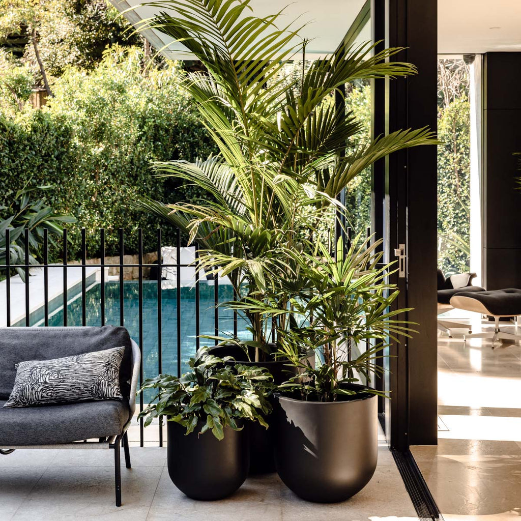 Straight Up The Balcony Garden US