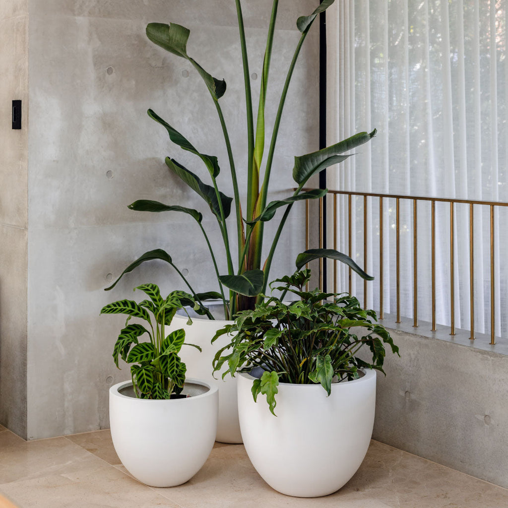 Tub The Balcony Garden US