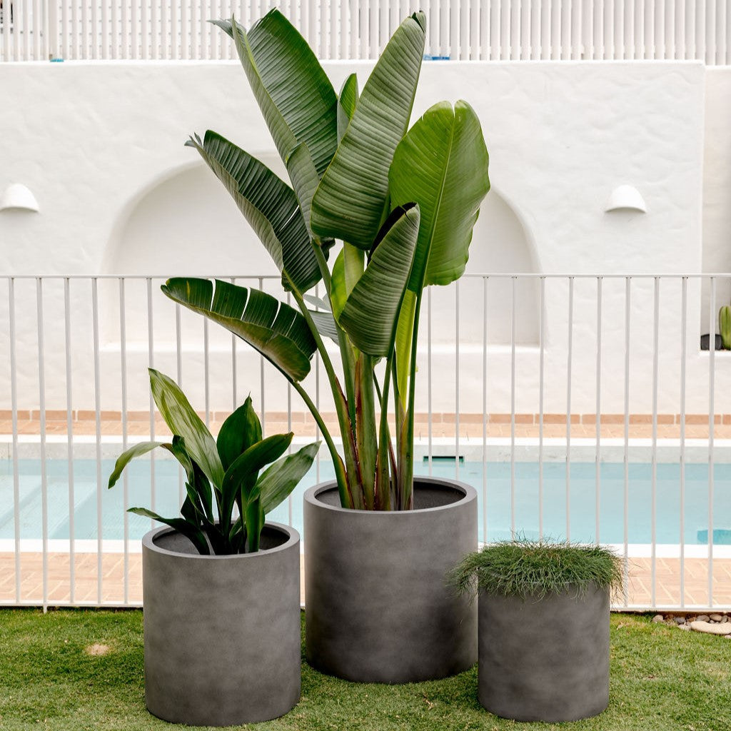 Choob The Balcony Garden US