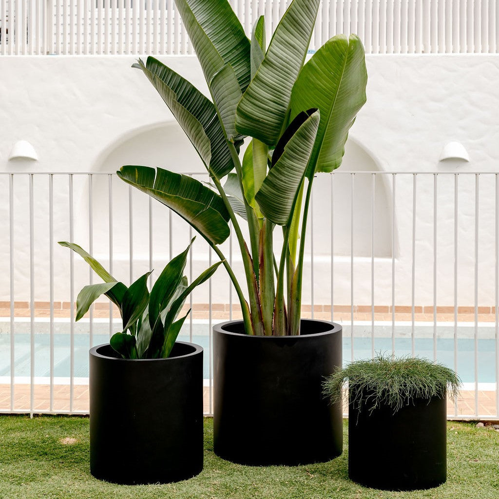 Choob The Balcony Garden US