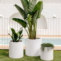Choob The Balcony Garden US