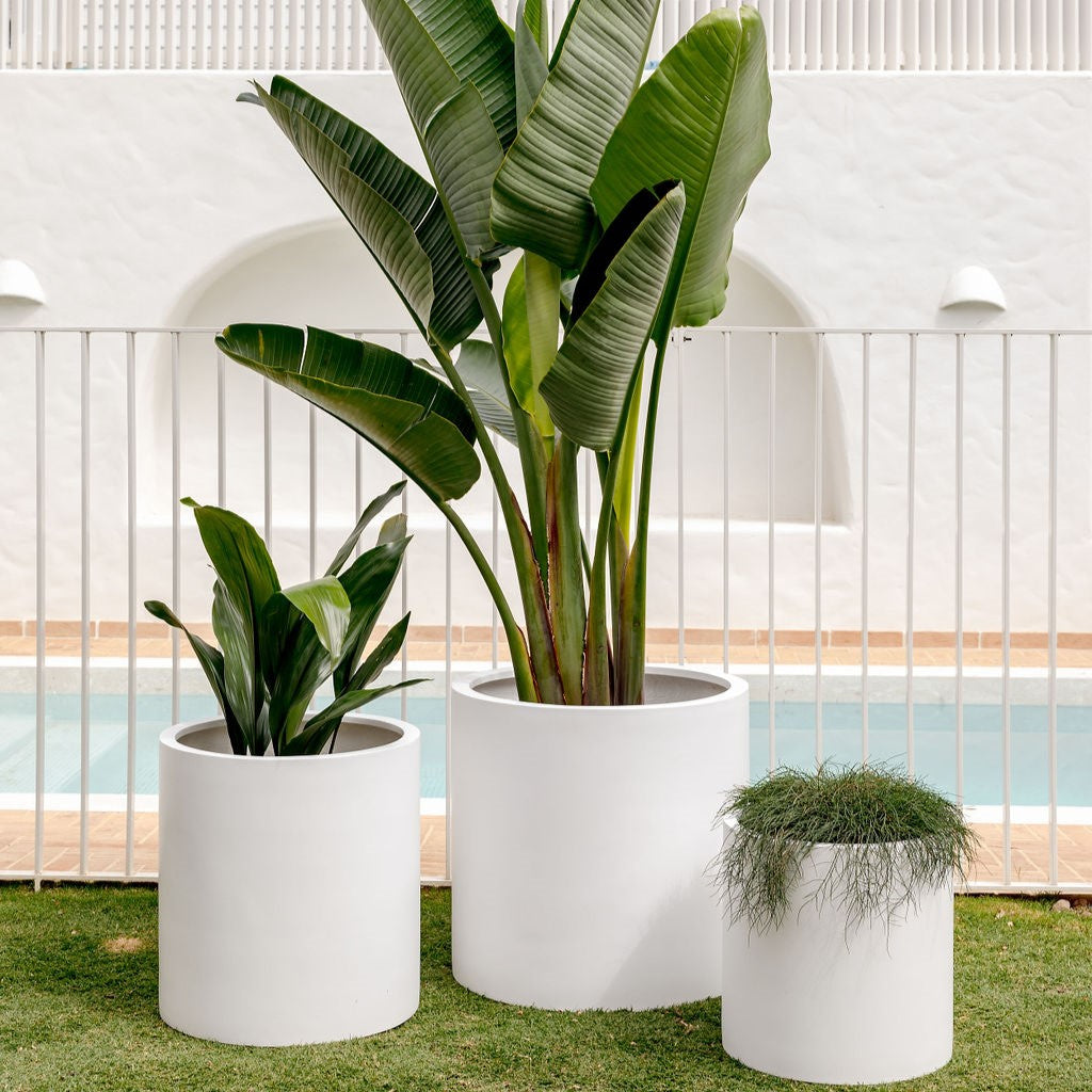 Choob The Balcony Garden US