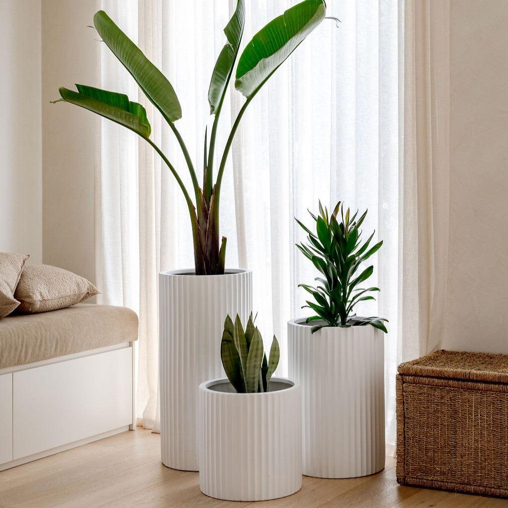 Ribbed Loob The Balcony Garden US
