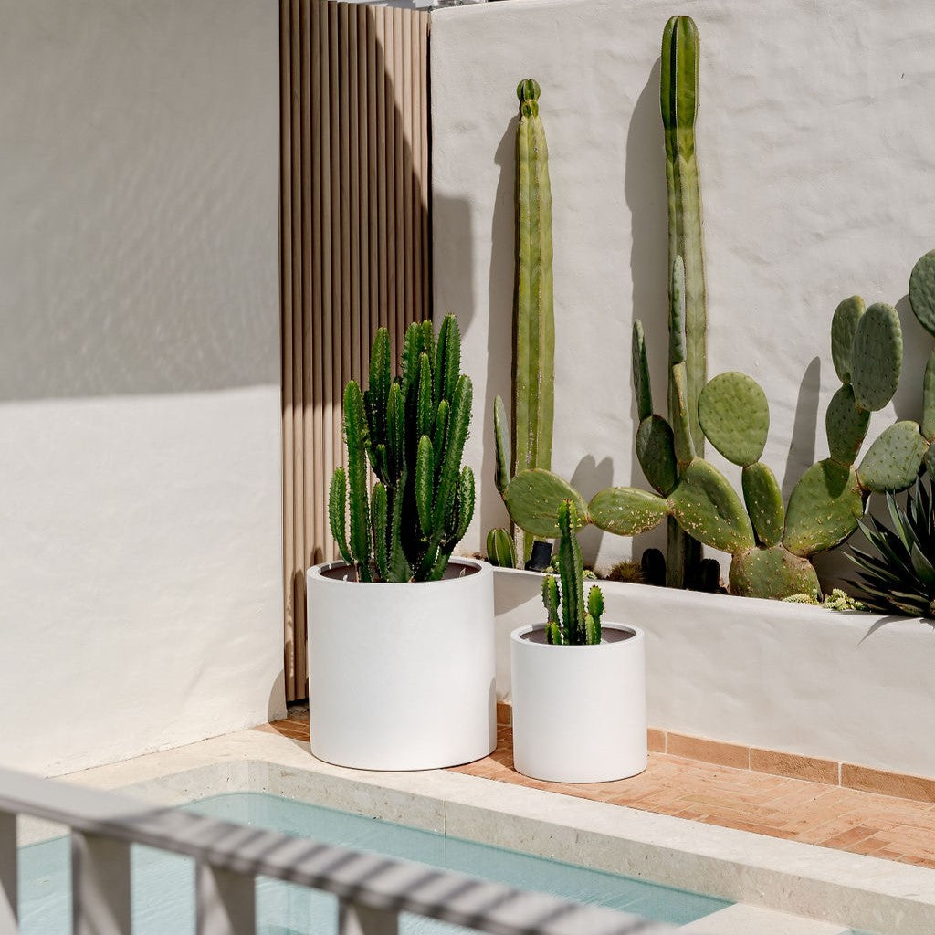 Choob The Balcony Garden US