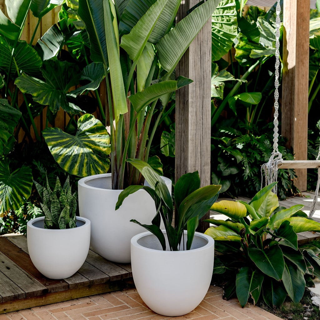 Tub The Balcony Garden US
