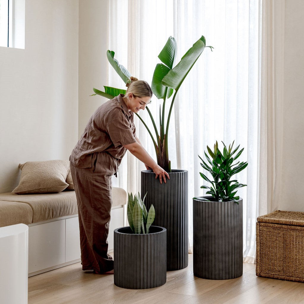 Ribbed Loob The Balcony Garden US