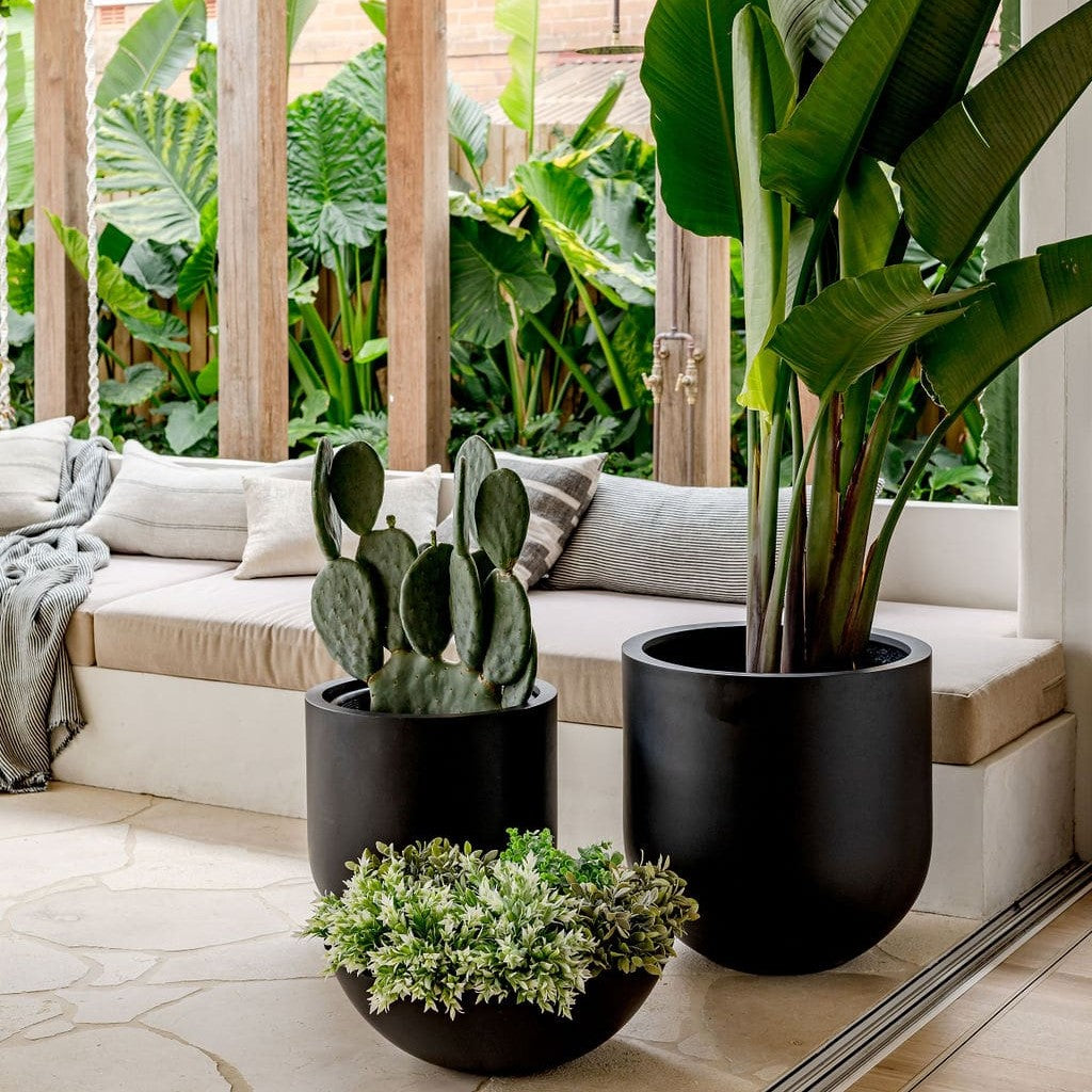 Straight Up The Balcony Garden US