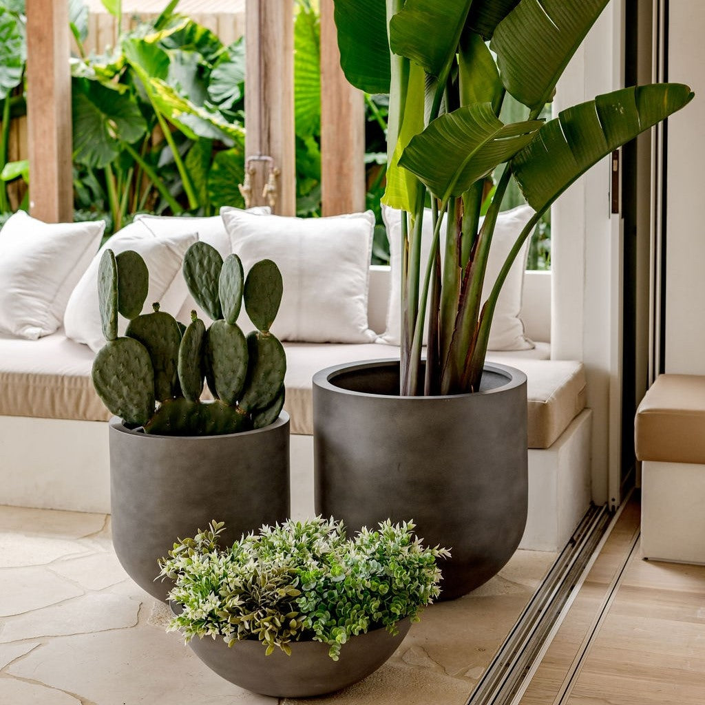 Straight Up The Balcony Garden US