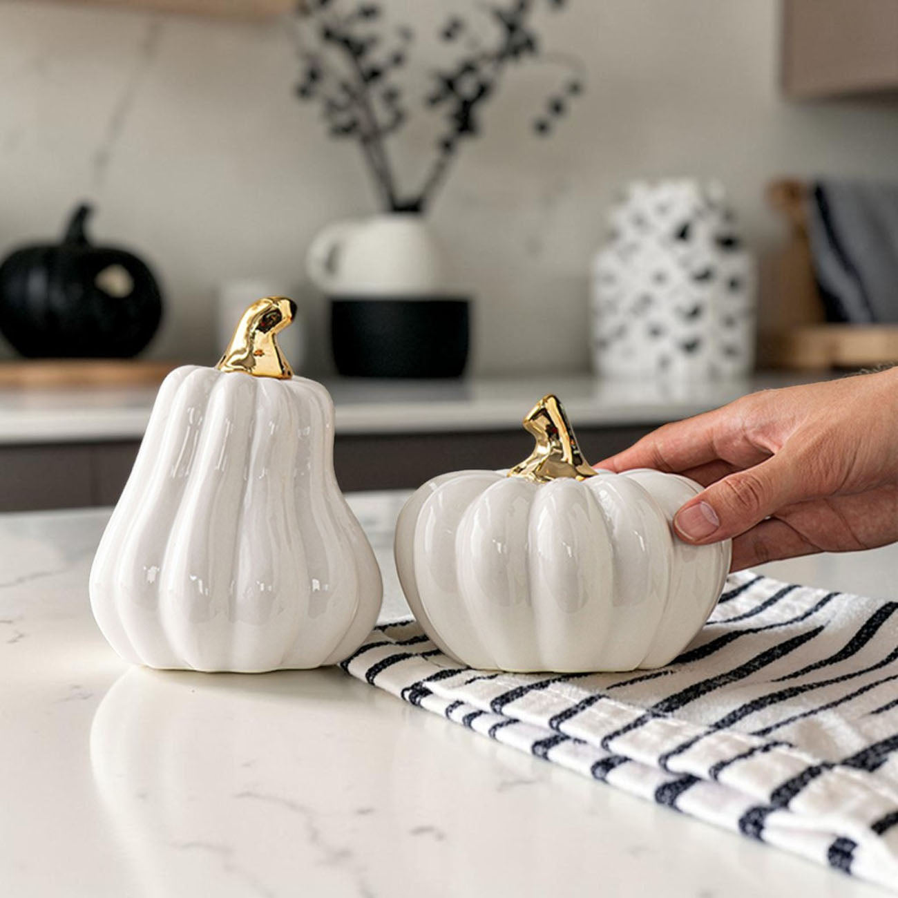White Luxe Pumpkin Gia Roma