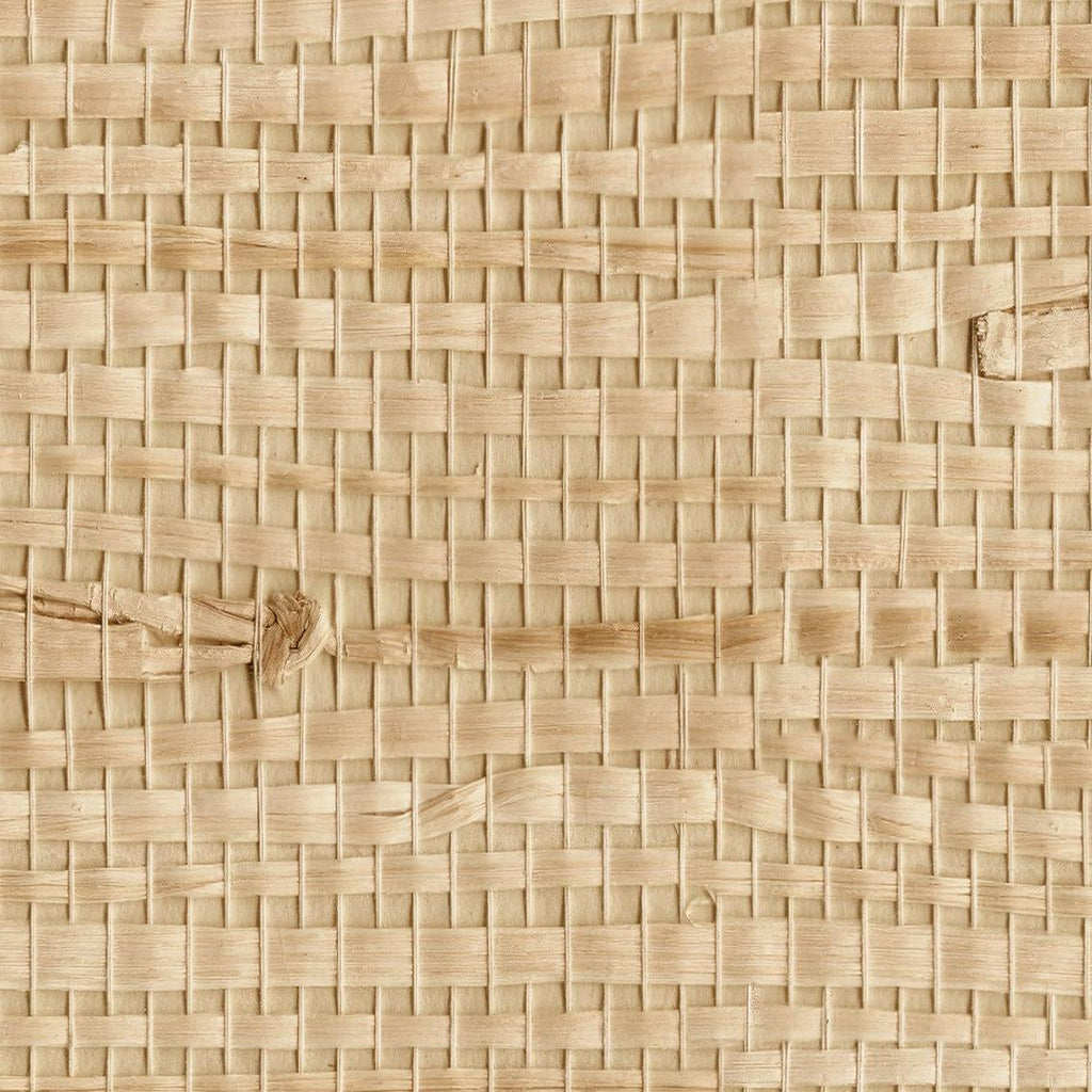 Ida Wallpaper - 10 FT H X 11 FT W LUXE WALL BLUSH