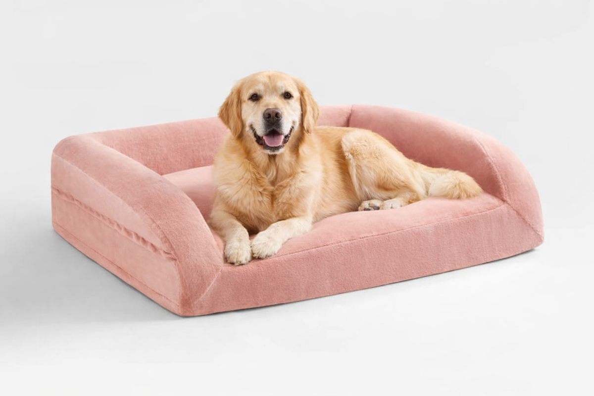 Dog Bed Lounger Moon Pod