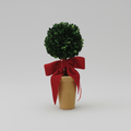 Dried Boxwood Tree with Red Bow in Terracotta Pot Branches Designs